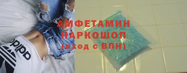 дмт Краснослободск