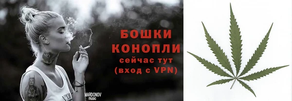 молекула духа Красноперекопск