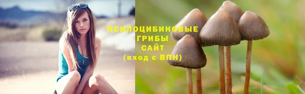 молекула духа Красноперекопск