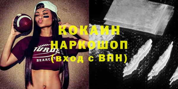 дмт Краснослободск