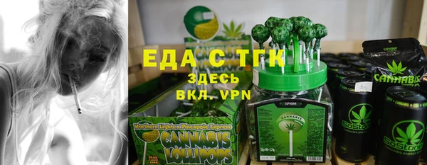 дмт Краснослободск