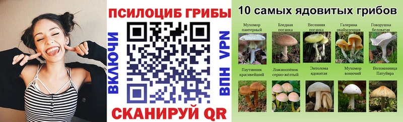 Псилоцибиновые грибы Cubensis  цены наркотик  Астрахань 